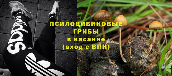 СК Медногорск