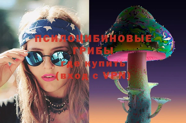 СК Медногорск