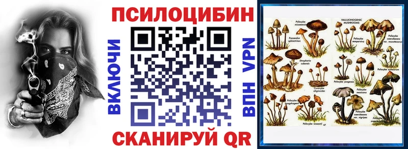 Купить закладки  Заозёрный  Галлюциногенные грибы Magic Shrooms 